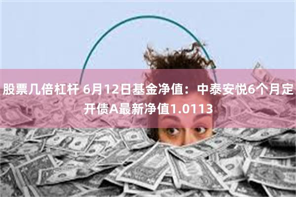 股票几倍杠杆 6月12日基金净值：中泰安悦6个月定开债A最新净值1.0113