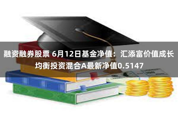 融资融券股票 6月12日基金净值：汇添富价值成长均衡投资混合A最新净值0.5147