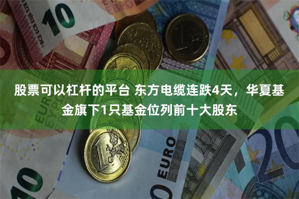 股票可以杠杆的平台 东方电缆连跌4天，华夏基金旗下1只基金位列前十大股东