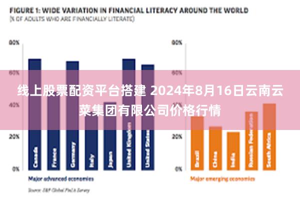 线上股票配资平台搭建 2024年8月16日云南云菜集团有限公司价格行情