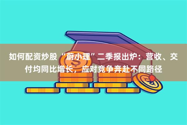 如何配资炒股 “蔚小理”二季报出炉：营收、交付均同比增长，应对竞争奔赴不同路径