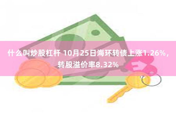 什么叫炒股杠杆 10月25日海环转债上涨1.26%，转股溢价率8.32%