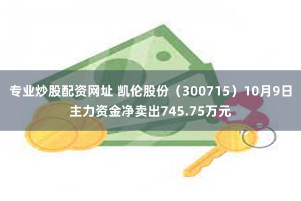 专业炒股配资网址 凯伦股份（300715）10月9日主力资金净卖出745.75万元