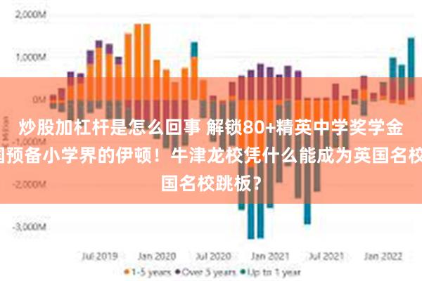 炒股加杠杆是怎么回事 解锁80+精英中学奖学金，英国预备小学界的伊顿！牛津龙校凭什么能成为英国名校跳板？