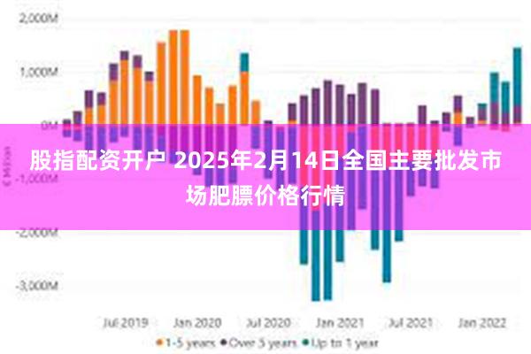 股指配资开户 2025年2月14日全国主要批发市场肥膘价格行情